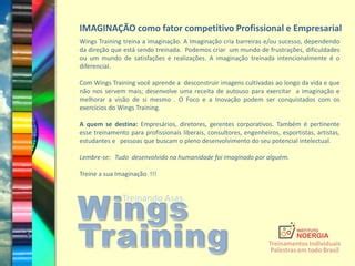 wings treinamentos